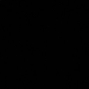 Meet your Posher, Sasha